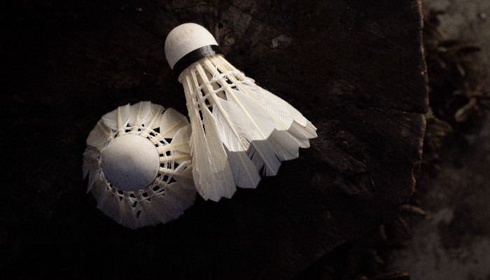 バドミントンの発祥国は 日本に伝わった歴史や名前の由来も解説