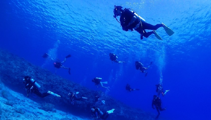 ダイビングクラブ アクアギフト横浜店の 中途採用 プロモーションスタッフ スポーツ求人なら スポジョバ